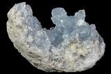 Sky Blue Celestine (Celestite) Crystal Cluster - Madagascar #75937-1